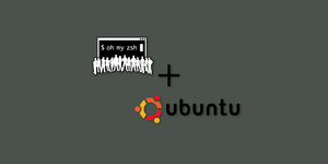 Install ZSH and Oh-My-Zsh on Ubuntu 24+