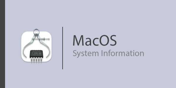 See MacOS System Information without logging in
